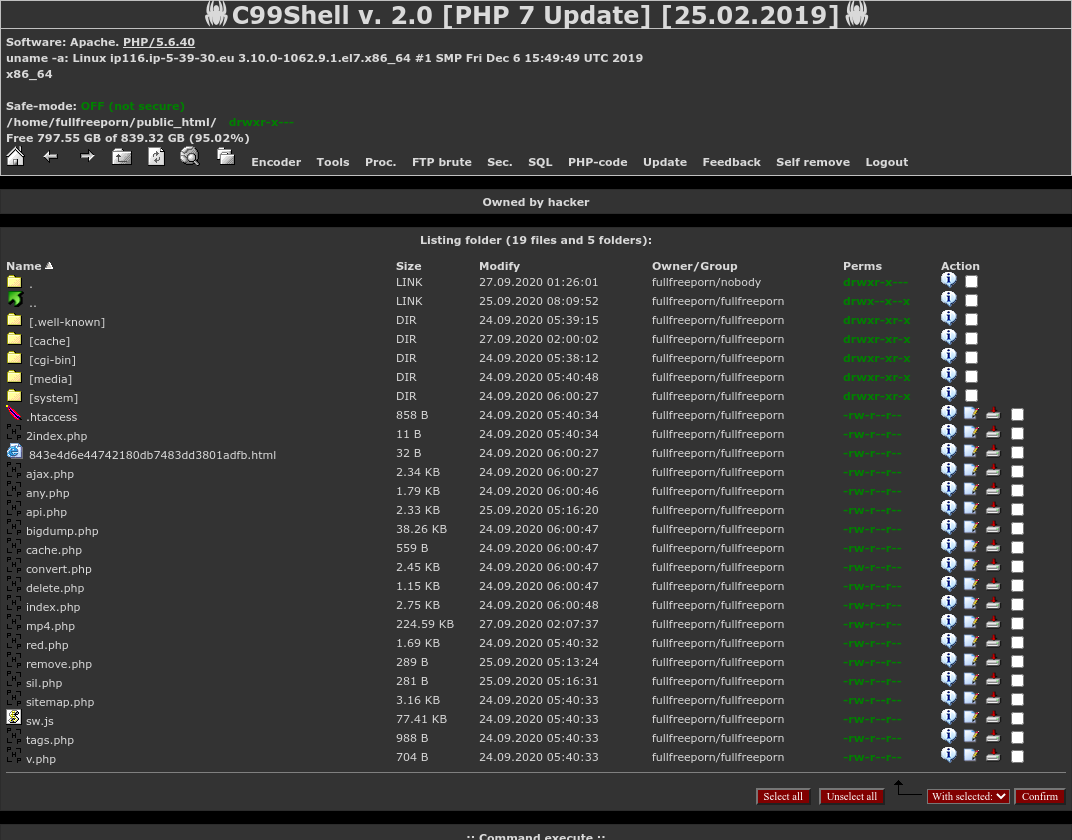 C99 Shell Php 7 Version cover preview